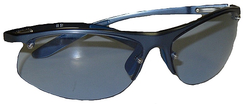 F1 Gear BMW Williams Performance Sunglasses