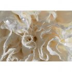 Fair Trade Media Carnation Card - 2202