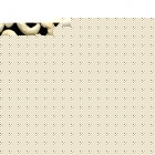 Fair Trade Media Cashew Card - 2201