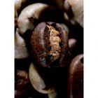 Fair Trade Media Coffee Card 2# - 2210