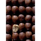 Fair Trade Media Coffee Card 3# - 2215