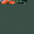 Fair Trade Media DUPLICATE - Small Tropical Flower Card - 2113