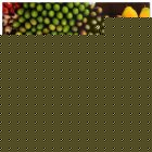 Fair Trade Media Exotic Vegetables Card 2025