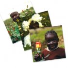 Fair Trade Media Faces of Fairtrade 6 Card Pack