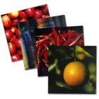 Fair Trade Media Fairtrade Fresh Cards 4 pack (small) - 20349