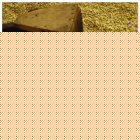 Fair Trade Media Green Coffee Beans Card - 2014