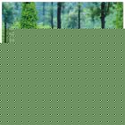 Fair Trade Media In a Tea Garden Card - 2009