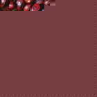 Fair Trade Media Nutmeg Card (small) - 2104