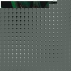 Pineapple Blossom Gift Tag - 10 pack