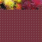 Fair Trade Media Rambutan Card (small) - 2115