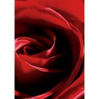Fair Trade Media Roses Card - 2208