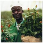 Fair Trade Media Worker on a Flower Farm Card - 2006