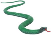 PVC Snake Long Green