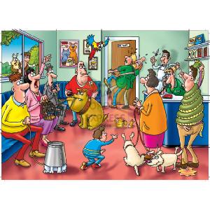 Falcon Jumbo Hiddenxtra Two Puzzles At The Vets