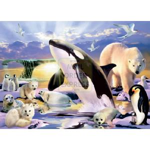 Jumbo Polar Kingdom 1000 Piece Jigsaw Puzzle