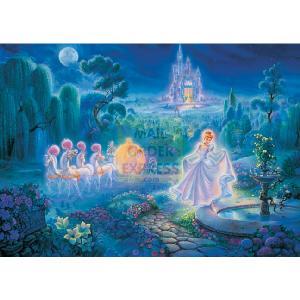 Jumbo Tom Du Bois Cinderella Hidden Images 1000 Piece Jigsaw Puzzle