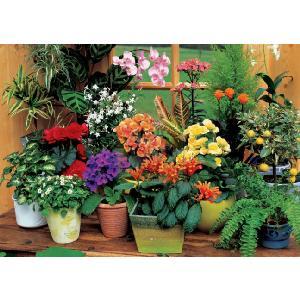 Potted Splendour 500 Piece Jigsaw Puzzle