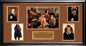 Harry Potter Photo Montage