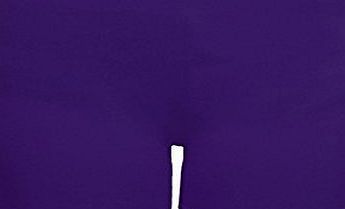 Fantasia Boutique Girls Cotton Lycra Stretch Gym Gymastics Dance Childrens Neon Hot Pants Shorts [Purple, Years 13]