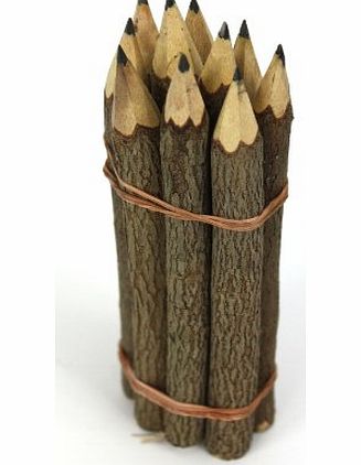 Farang Thai Tree Branch Twig Pencil Bundle - Large Size - Black Only - Individual Bundle