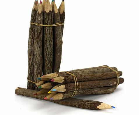 Farang Thai Tree Branch Twig Pencil Bundle - Large Size - Mixed Colours - Multipack of 3 Bundles
