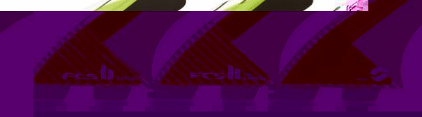 FCS II Carver Performance Core Carbon Large Tri