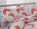 FCUK century cloud pillow cases (pair)