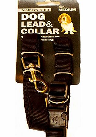 Feathers and Fur Dog lead and collar set, black from feathers and fur (Medium)