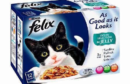 Felix As Good as it Looks Ocean Selection in Jelly 12 x 100 g (Pack of 4, Total 48 Pouches)