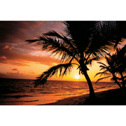 Fellowes Landmark Palm Moods Mouse Mat