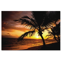Natural Collection Mouse Mat Pad Palm