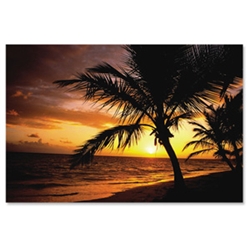 Natural Collection Mouse Mat Pad Palm