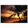 Palm Moods mouse Pad