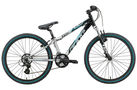 Felt Q24 2008 Kids Bike