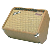 Fender Acoustasonic 30 Acoustic Amp
