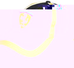 Ferrari Ferrari Scudetto Panel Cap Black / Yellow