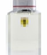 Ferrari Scuderia Ferrari Eau de Toilette Spray