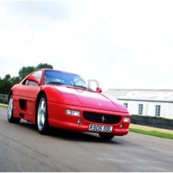 Ferrari Thrill at a Circuit