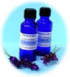 Fields of Blue Warming Back Massage Oil 50ml
