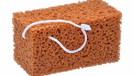 Filmer 18799 Clean Sponge for Car