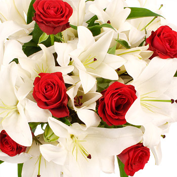 FIRE and Ice with FREE Bulbs - flowers