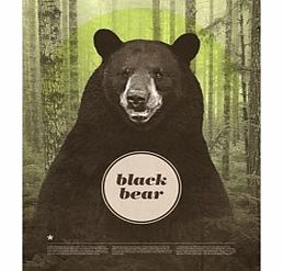 Black Bear (Large Print Only)