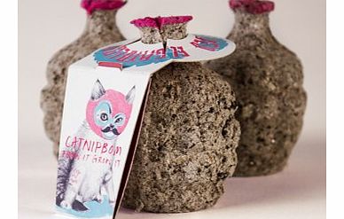 Firebox Catnipbom (Catnipbom 3 Pack)