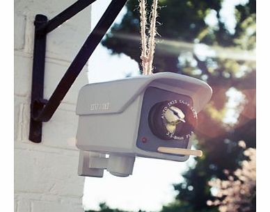 CCTV Birdhouse
