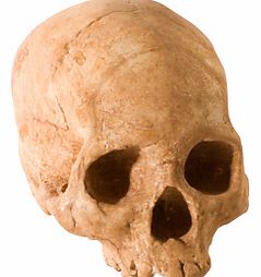 Chocolate Skulls (Bone Chocolate)