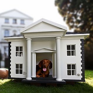 Firebox Dog Mansion