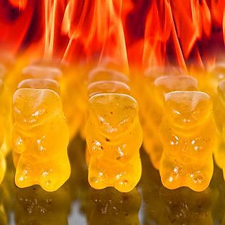 Firebox Evil Hot Gummi Bears