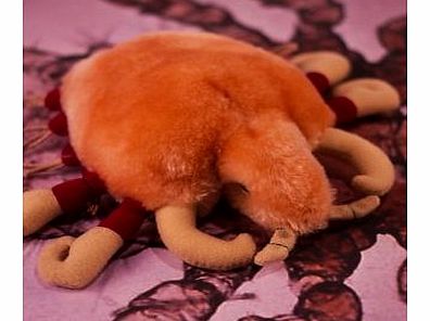 Firebox Giant STDs (Crabs)