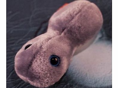 Firebox Giant STDs (The Clap)