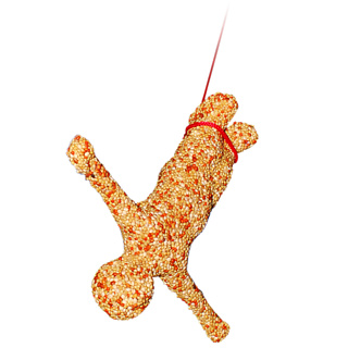 Firebox Global Secret Santa (Send a Bungee Birdfeeder)